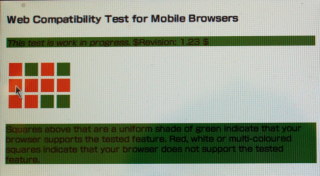 Screenshot of web compatibility test for mobile browsers in netfront on psp