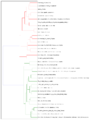 Thumbnail for version as of 14:51, 20 May 2015