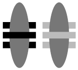 rectangles taking their fill value from the group