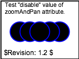 raster of interact-zoom-03-t