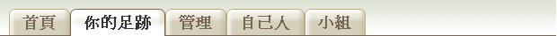 Picture of tabs containing Chinese text.