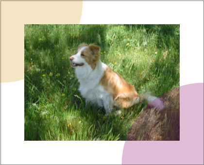 Example of the video element partially obscured by regular SVG graphics
