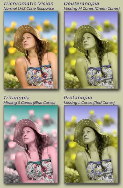 File:Girlinstrawhat.png